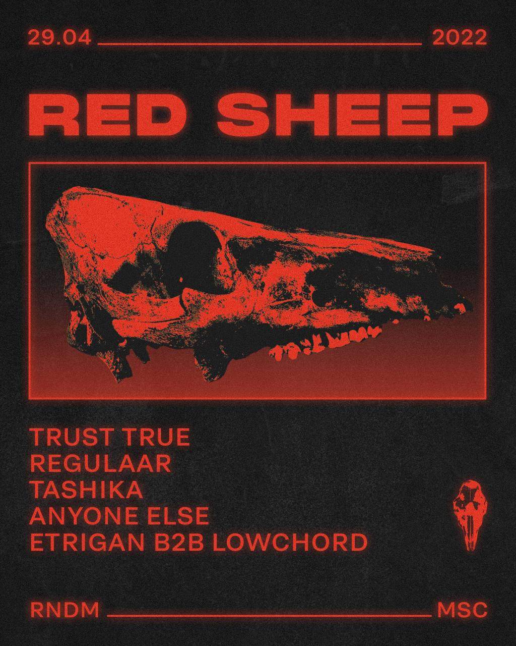Red Sheep - Página frontal