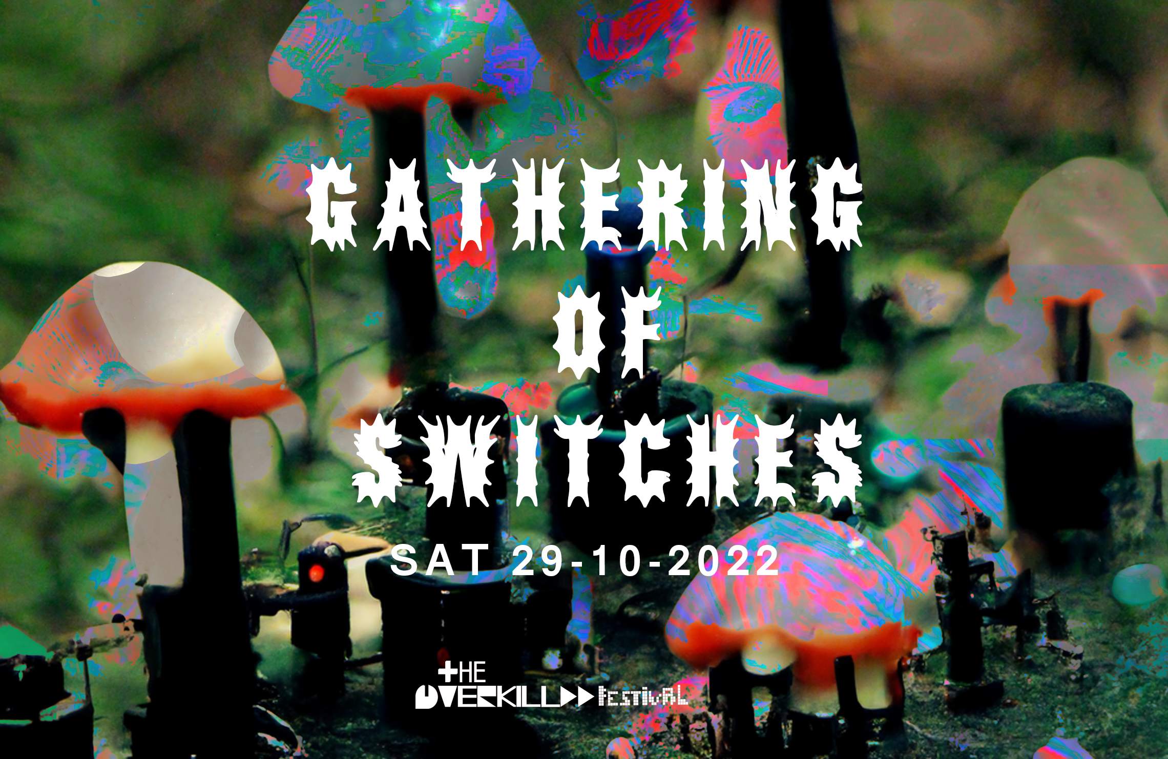 Gathering of Switches - フライヤー表