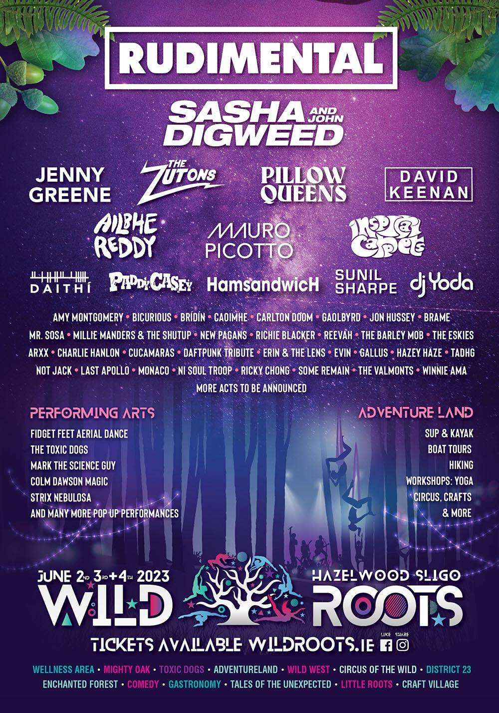 Wild Roots Festival 2023 - Página frontal