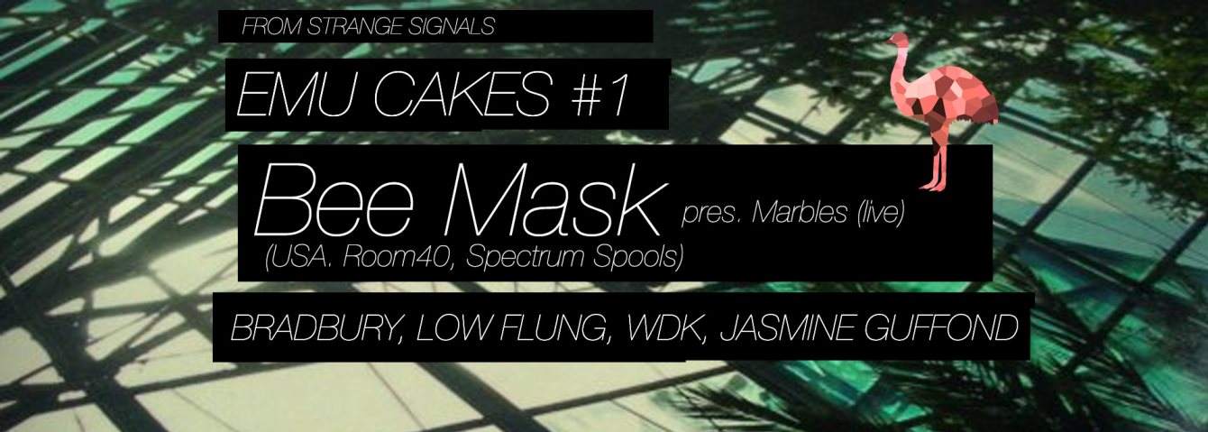 Emu Cakes with Bee Mask (Spectrum Spools, Room40), Bradbury, Low Flung, WDK, Jasmine Guffond - Página frontal