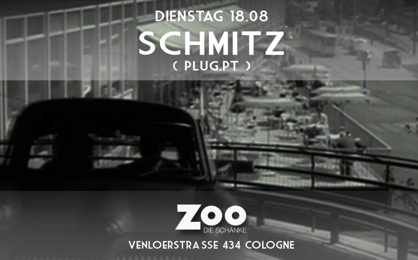 Schmitz DJ Set - フライヤー表