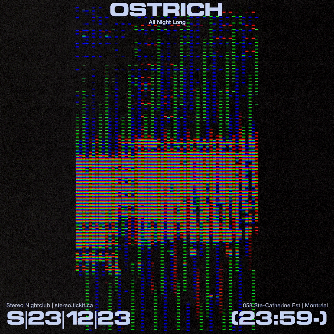 Ostrich (All Night Long) - Página frontal