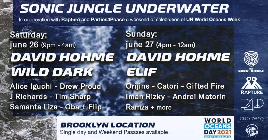 Sonic Jungle Underwater with David Hohme, Elif, Wild Dark - Página frontal