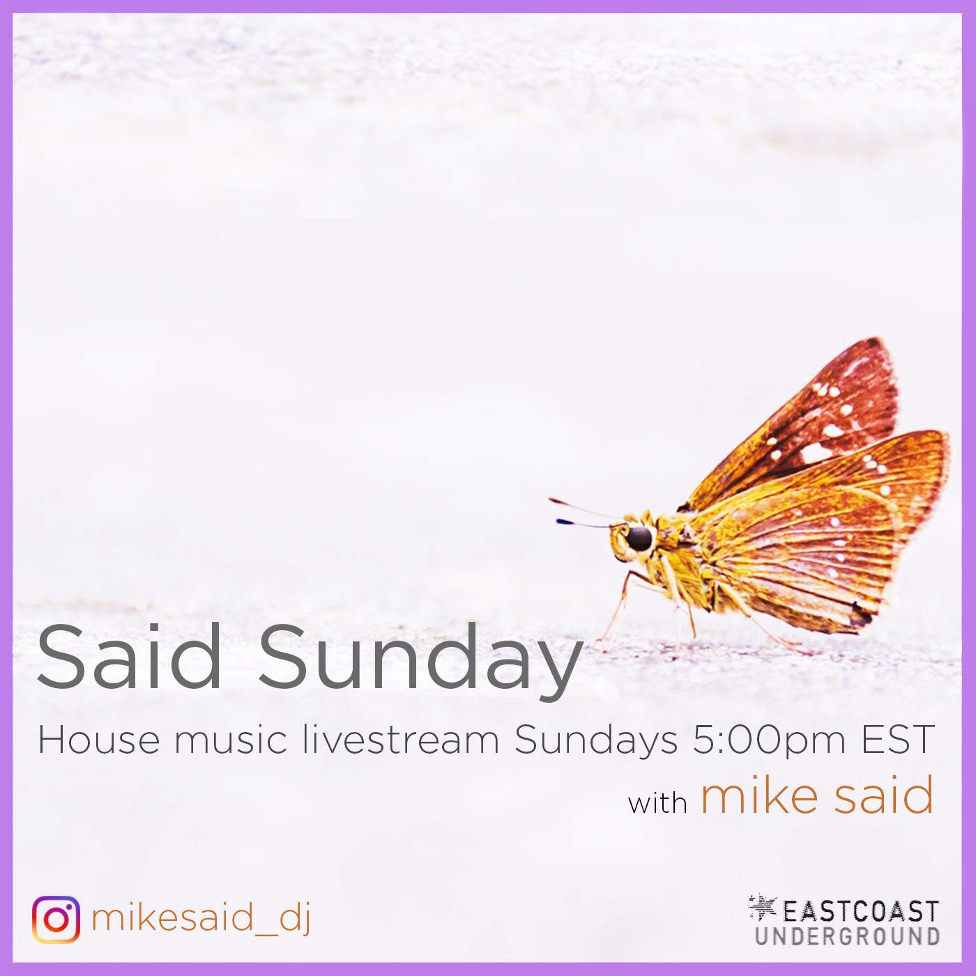 Said Sunday Livestream All Vinyl House / Tech House Every Sunday - フライヤー表