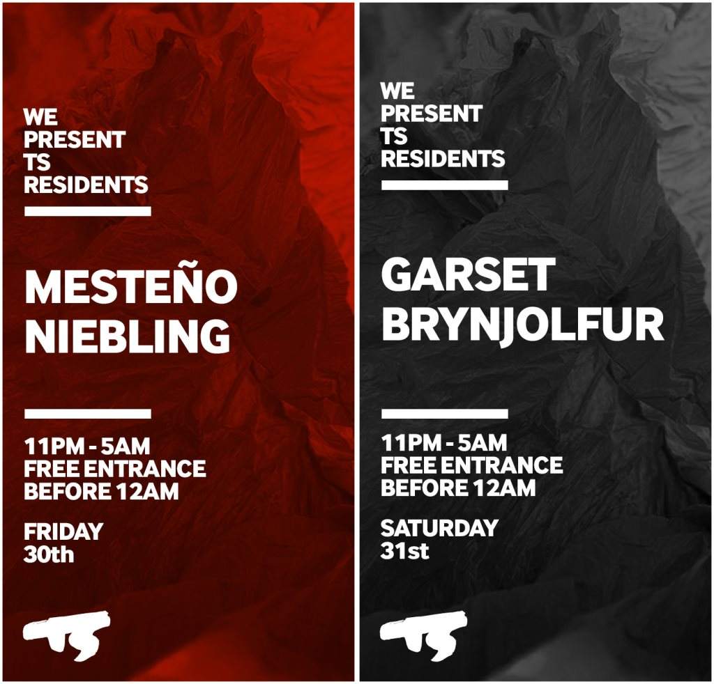 TS presents: Mesteño + Niebling // Garset + Brynjolfur - フライヤー裏