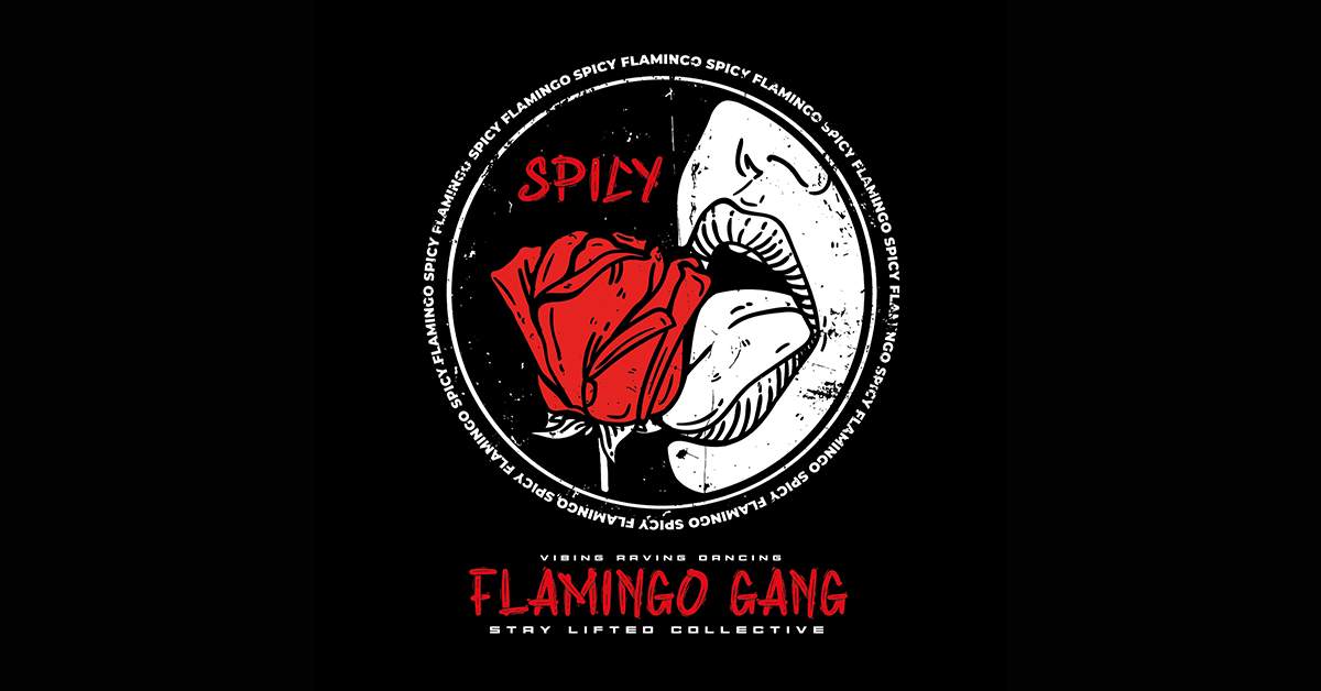 Spicy Flamingo Birthday - Página trasera