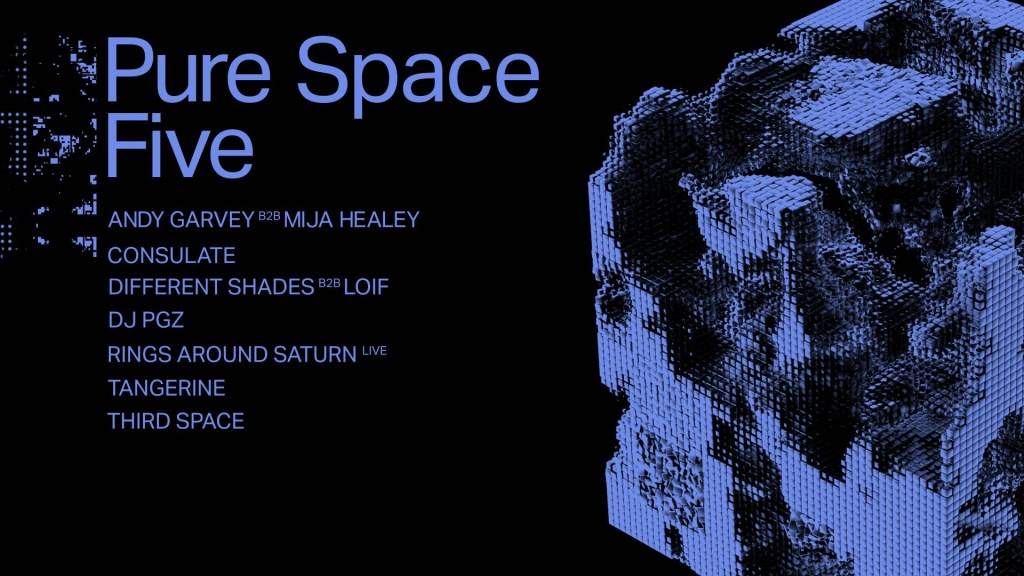 Pure Space Five - フライヤー表