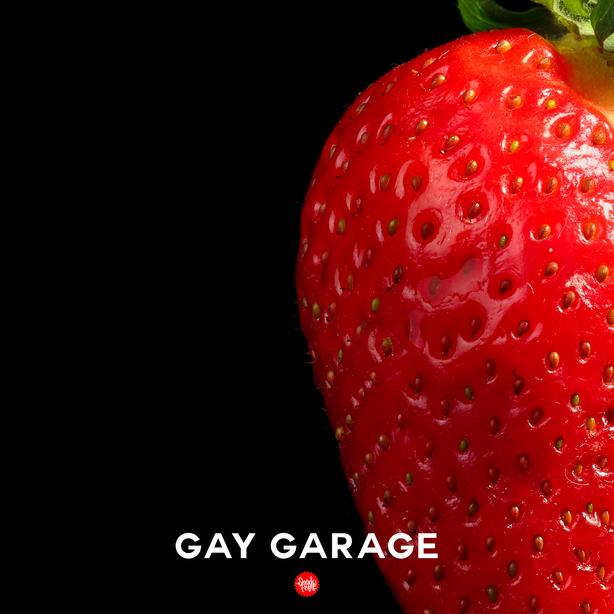 Headset's Gay Garage with Leonce - フライヤー裏