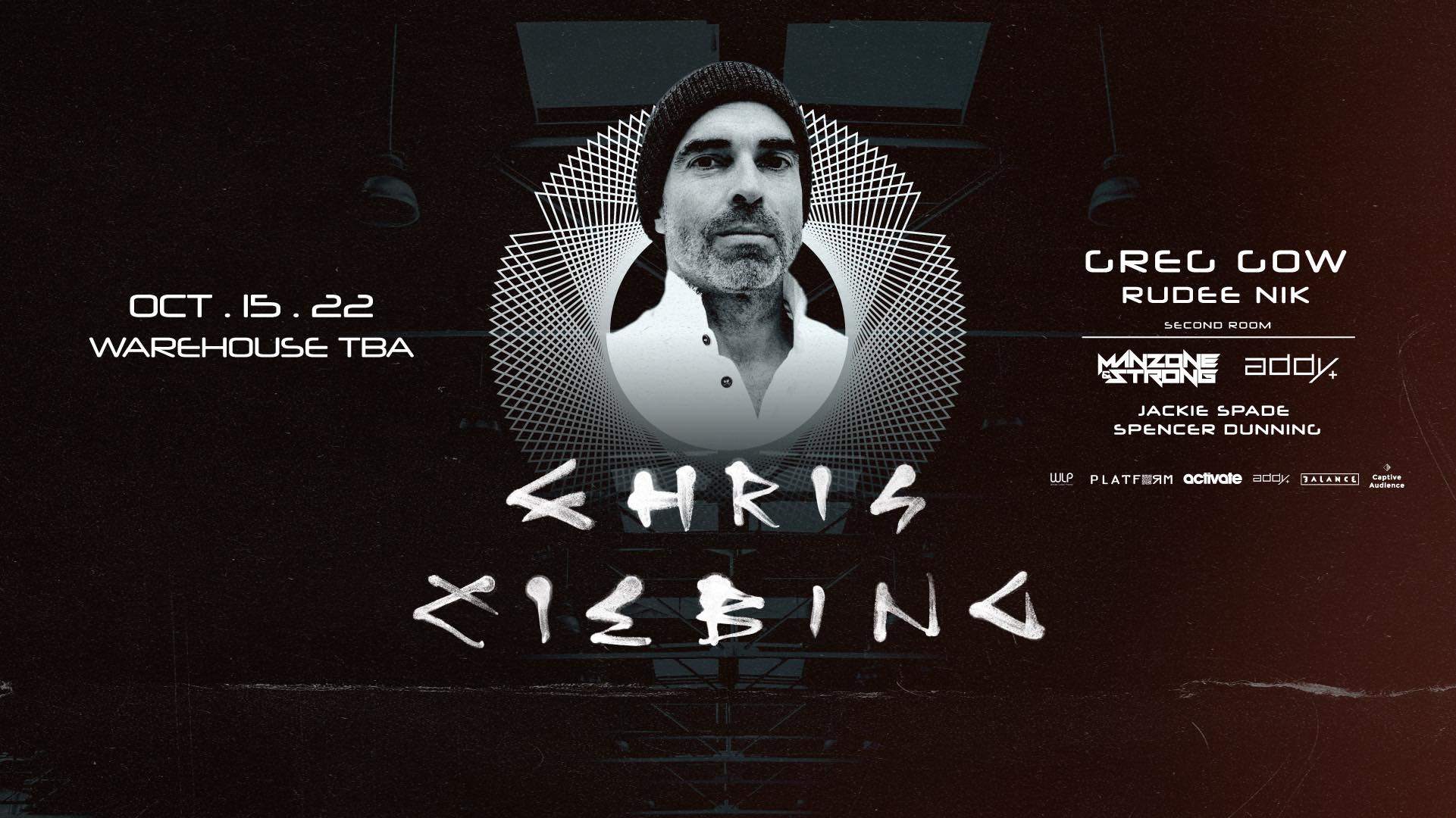 Another Day - Liebing Chris - Brand New LP - Brand New - 海外 即決-