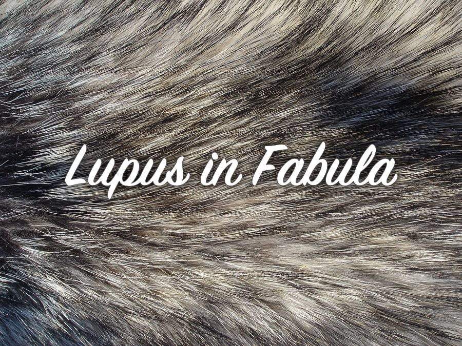 Lupus-In-Fabula - フライヤー表