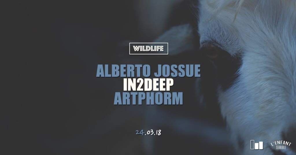 Wildlife with Alberto Jossue, In2Deep & Artphorm - フライヤー表