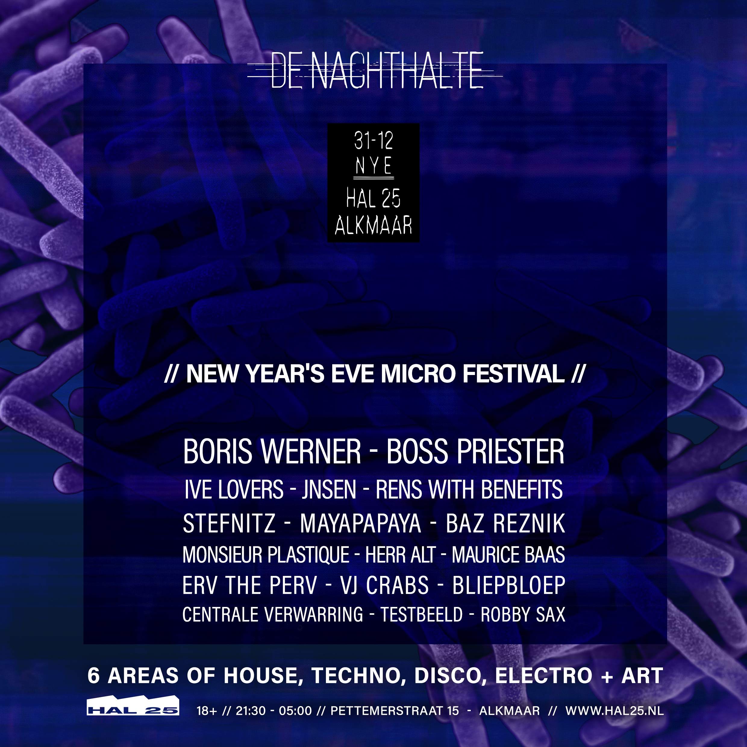 De Nachthalte - Microfestival - NYE - フライヤー表