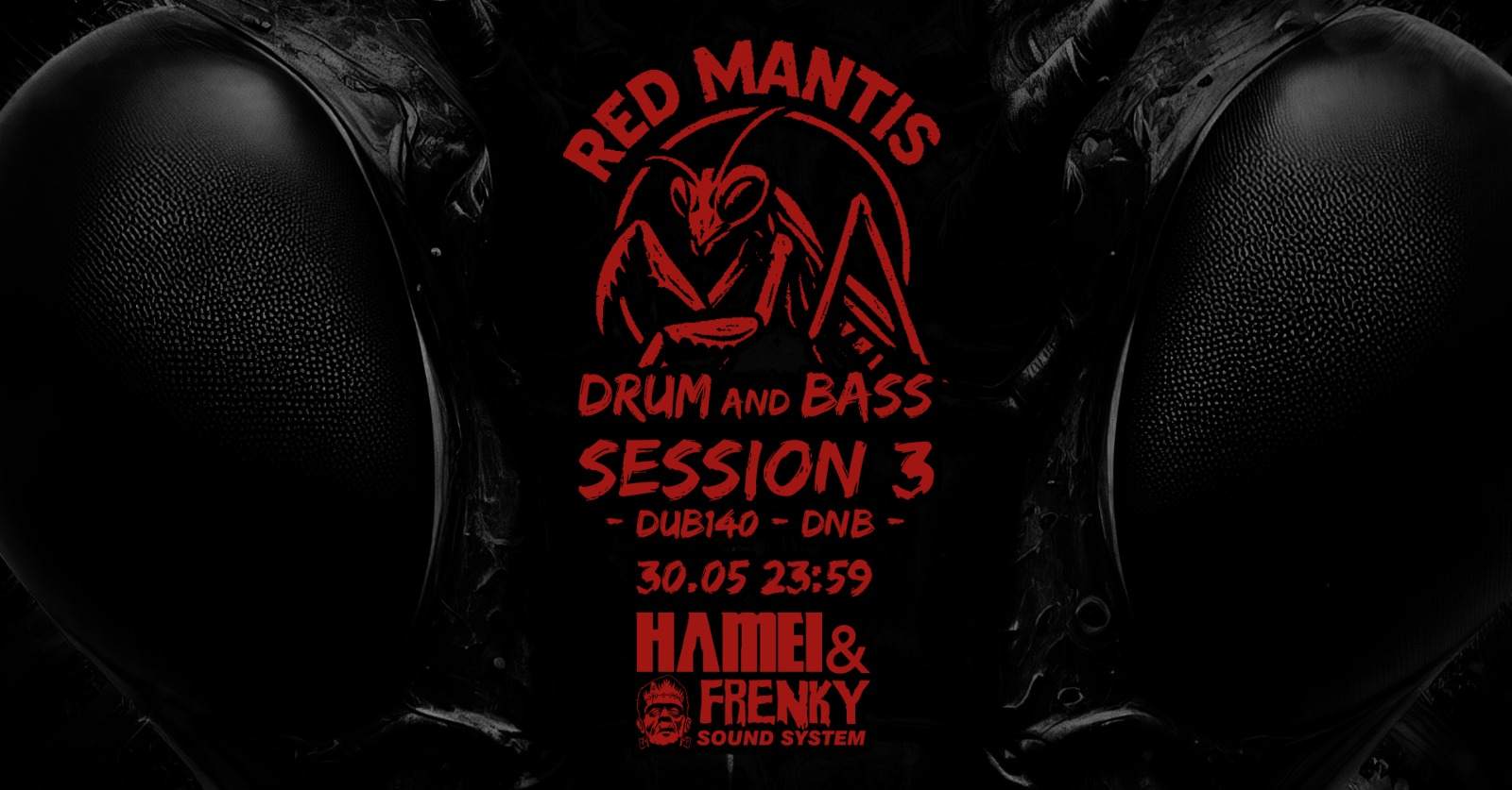 Red Mantis Drum and Bass SESSION 3 at Hamei, Timisoara