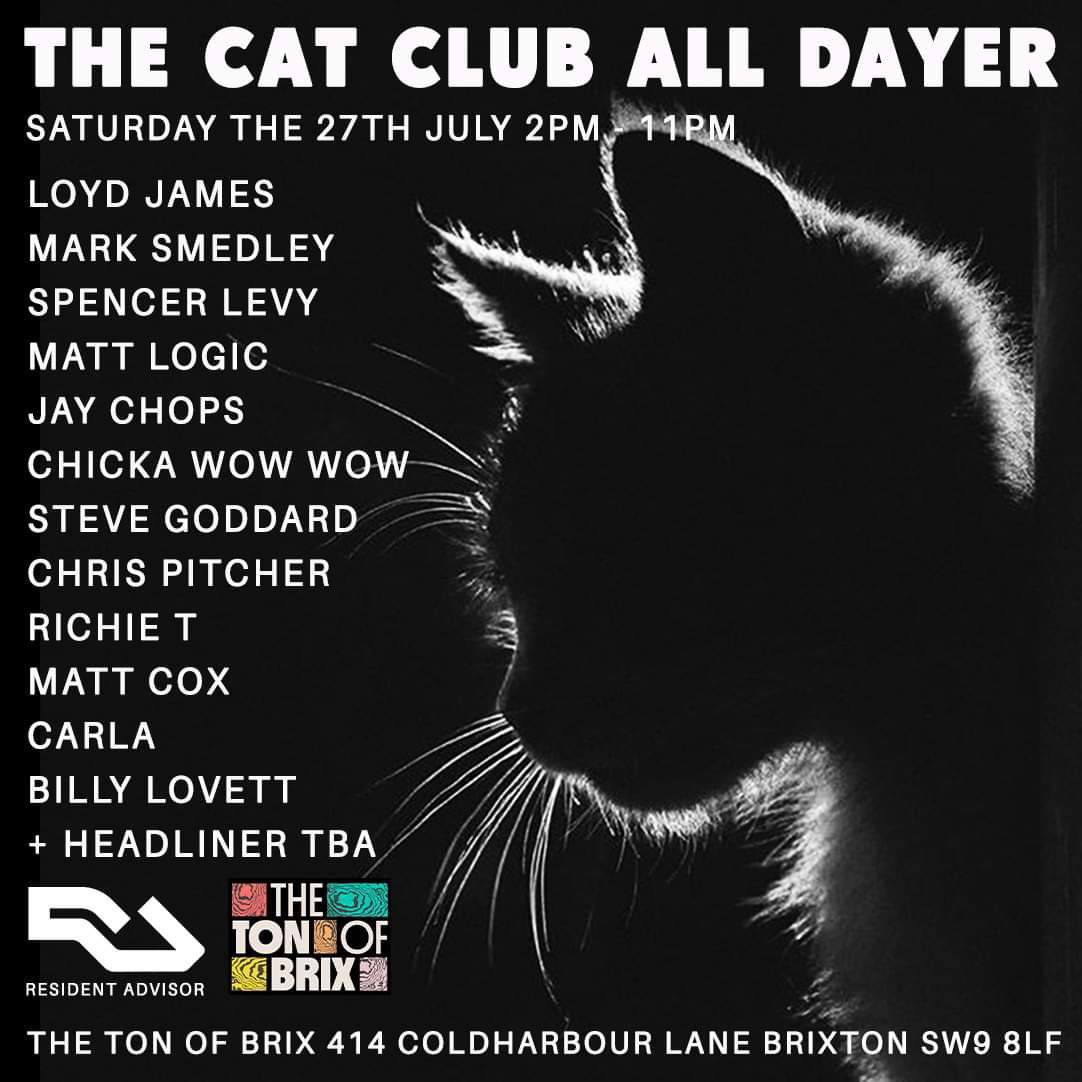 The Cat Club All Dayer - フライヤー表
