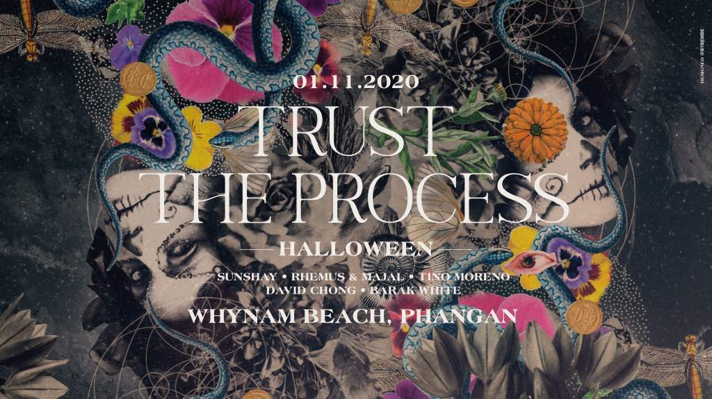 Trust The Process Festival - Página frontal