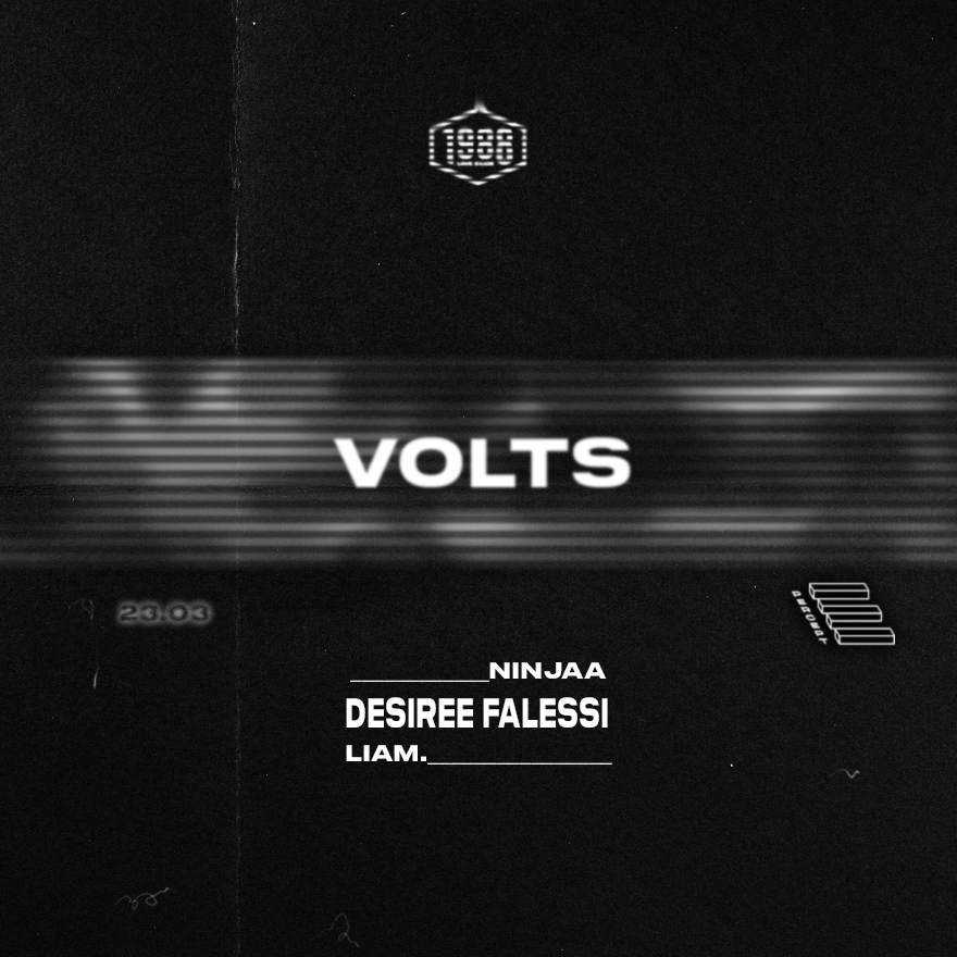 VOLTS with Desirée Falessi - Página frontal