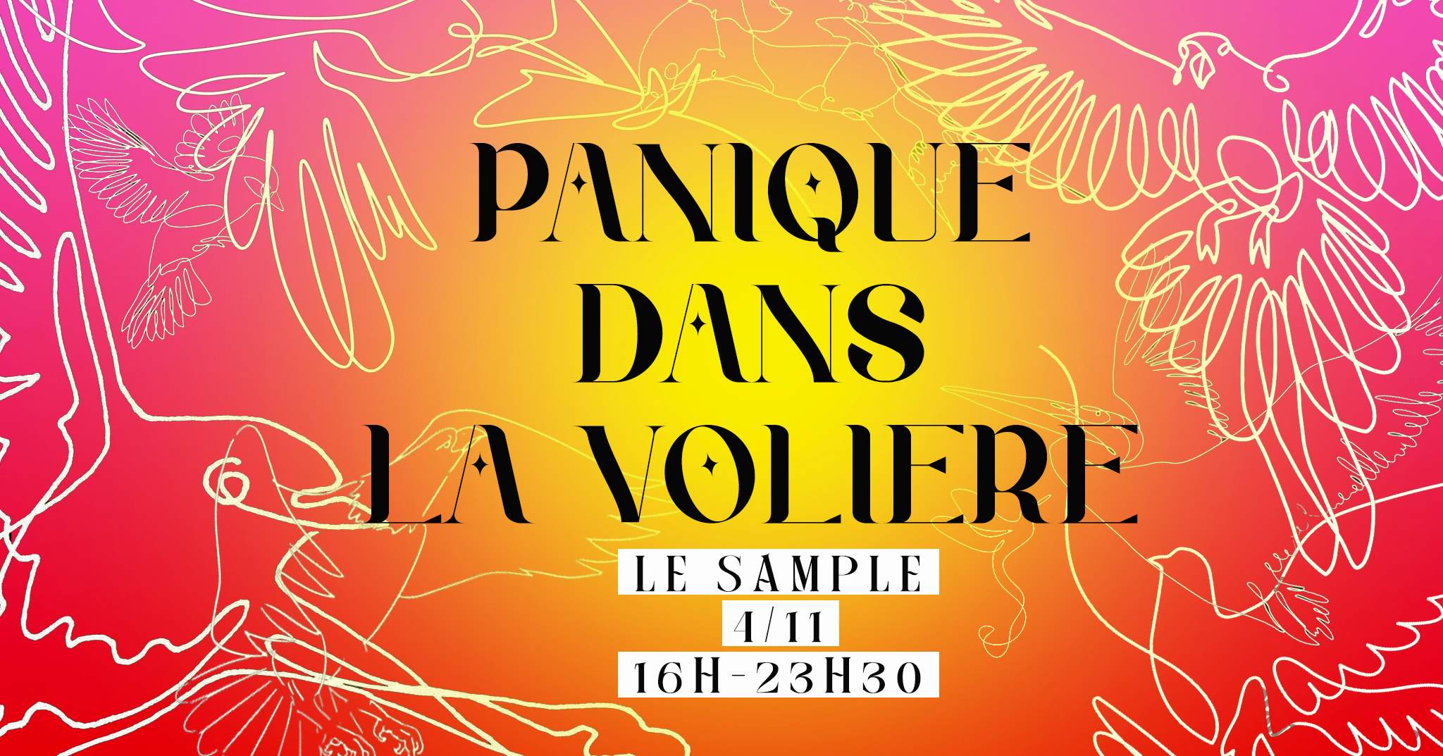 Panique Dans La Volière  - フライヤー表