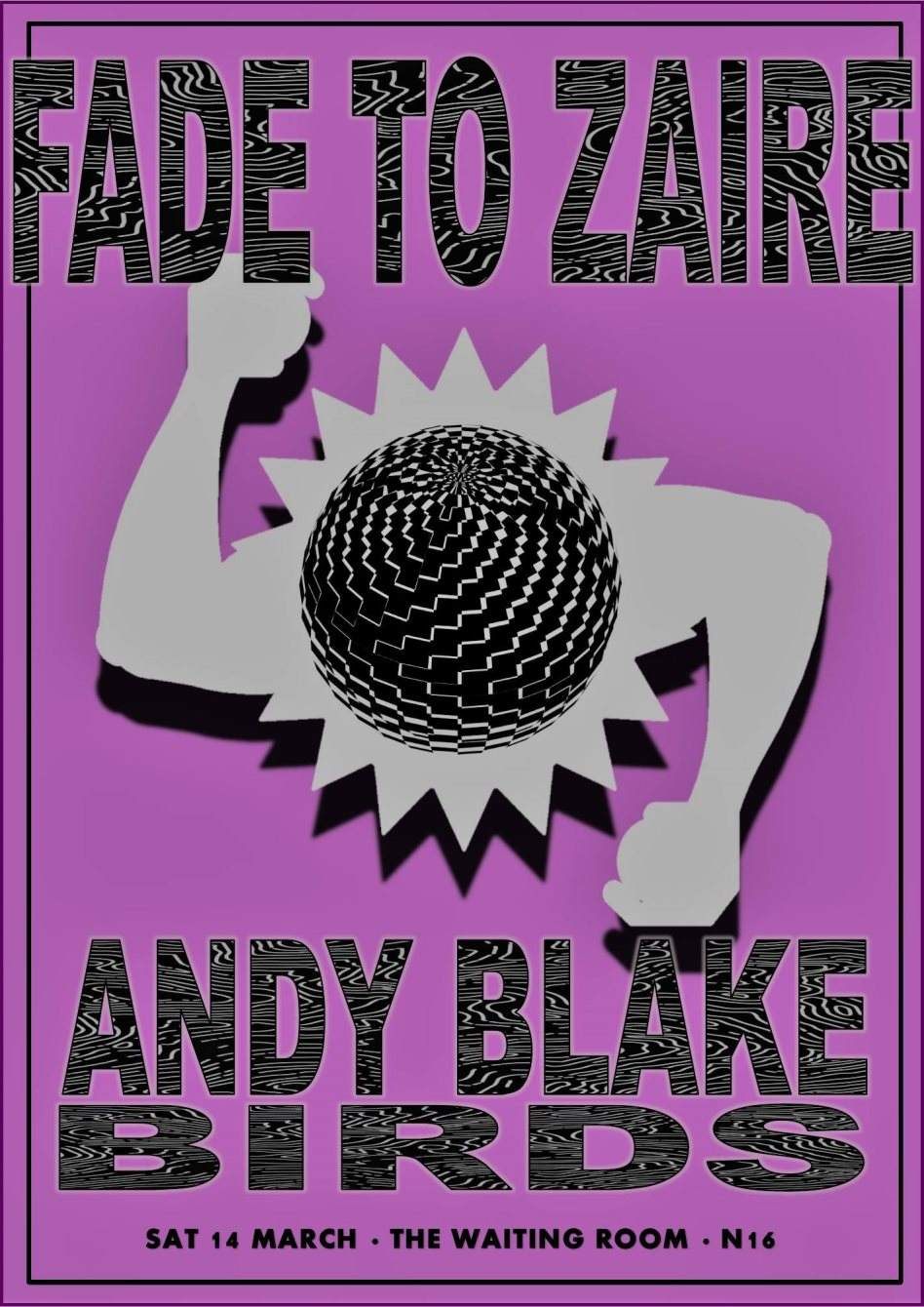 Fade to Zaire with Andy Blake, Birds and Borge - Página frontal