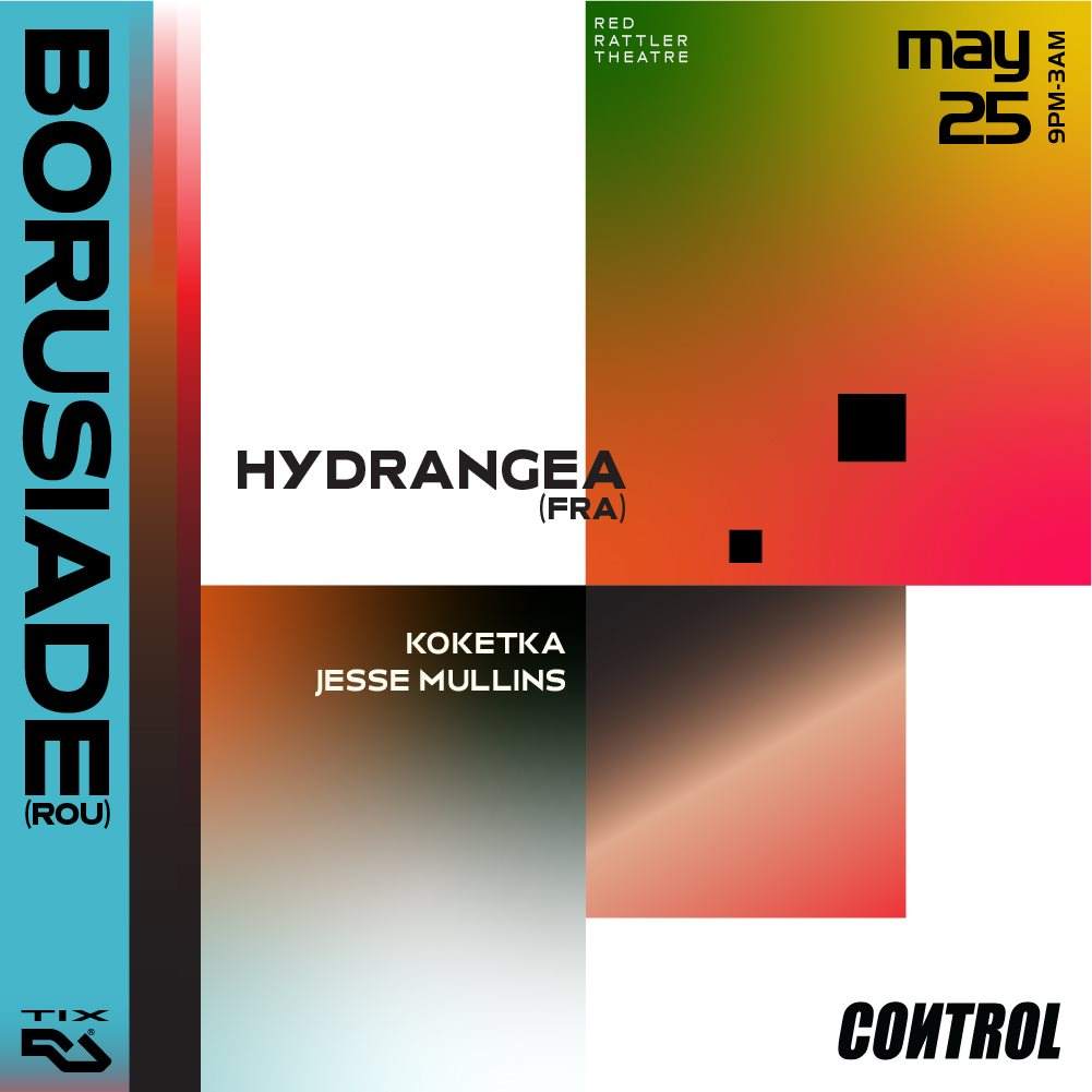 Control presents Borusiade + Hydrangea - Página frontal