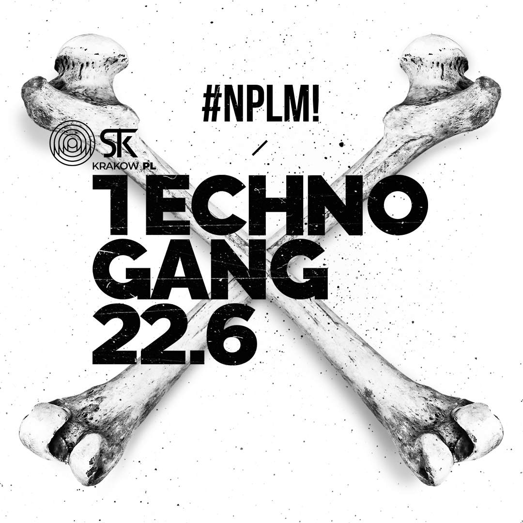 #NPLM! pres. TECHNO GANG / STK 47 WAREHOUSE - フライヤー表