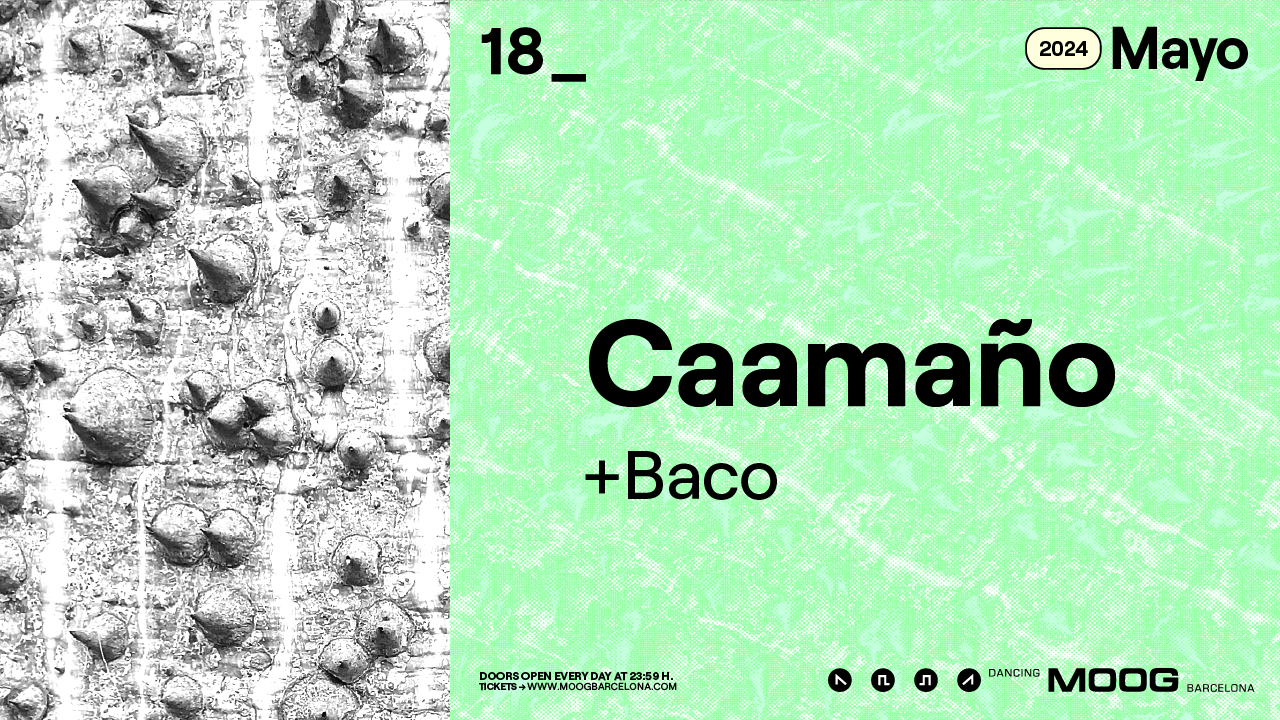 Caamaño + BACO - フライヤー表