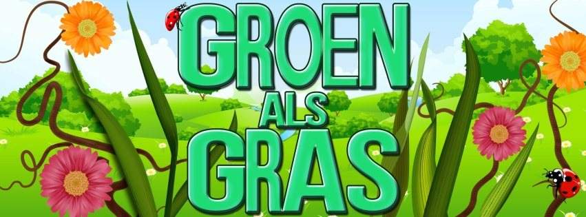 Groen als Gras Festival 2013 - フライヤー表