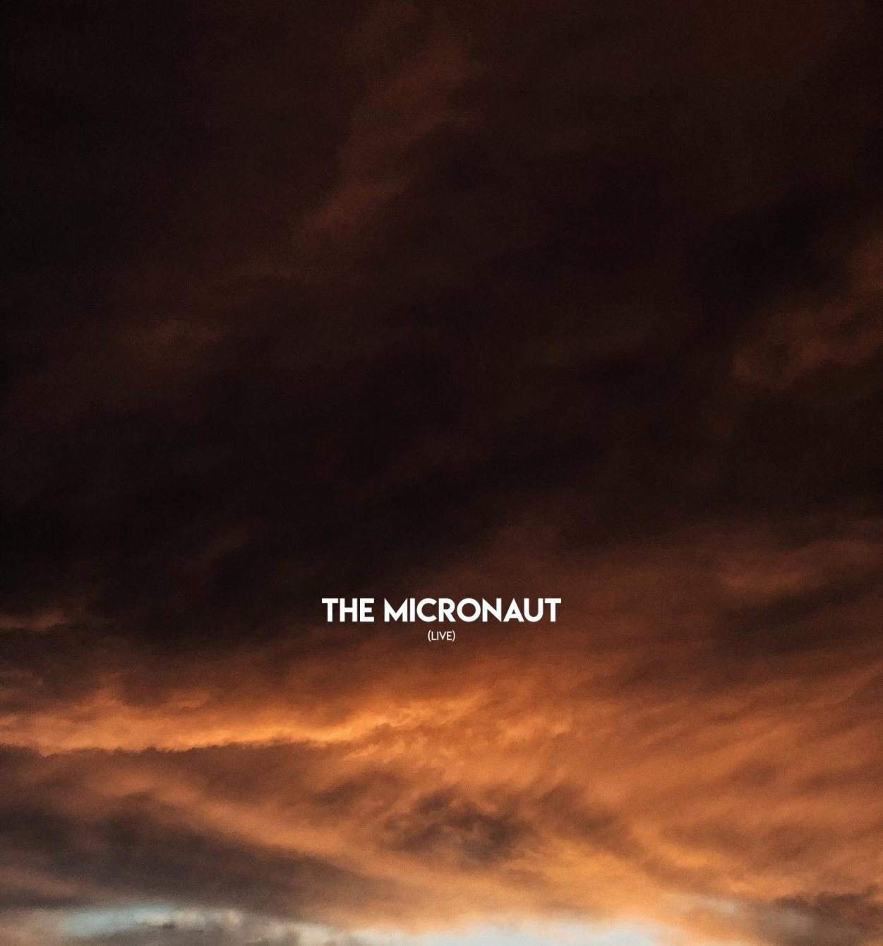 [POTPONED] The Micronaut - Página frontal
