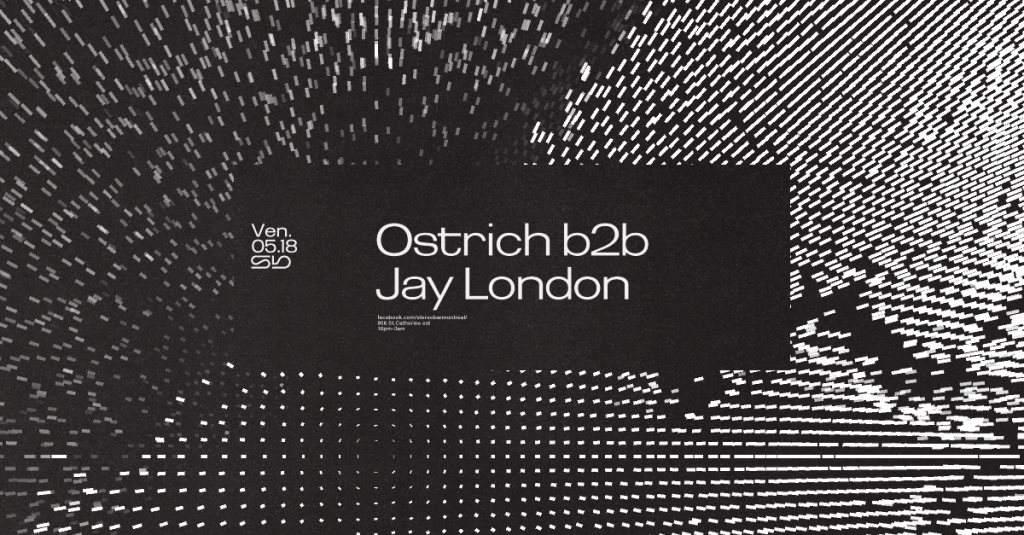 Ostrich b2b Jay London - フライヤー表
