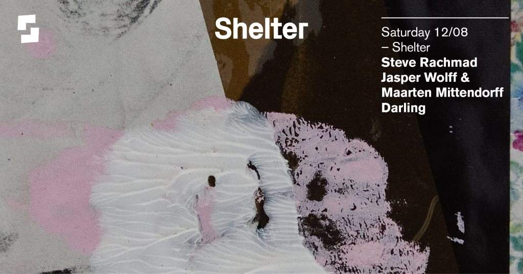 Shelter; Steve Rachmad, Jasper Wolff & Maarten Mittendorff, Darling - Página frontal