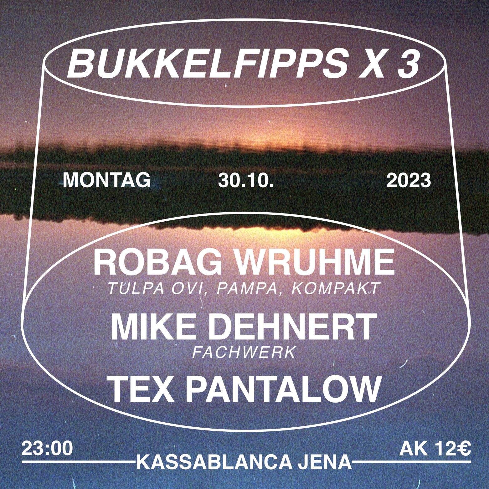BUKKELFIPPS X 3 - DJs: Robag Wruhme - Mike Dehnert - Tex Pantalow - フライヤー表