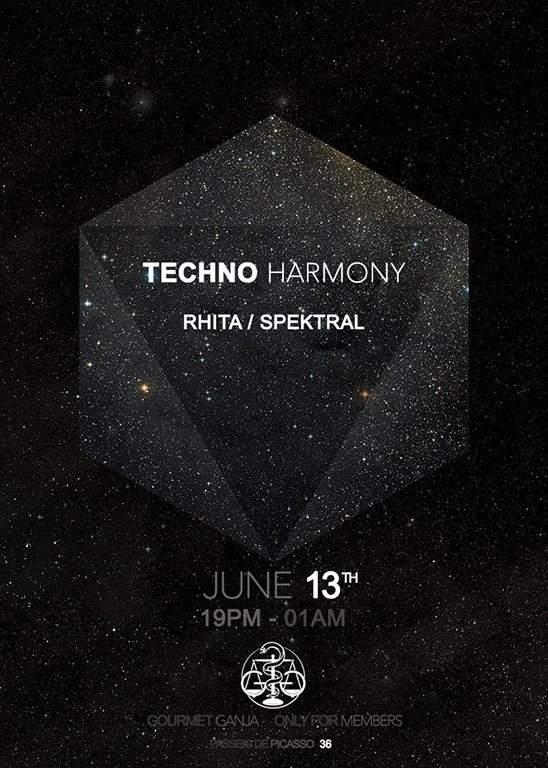 Techno Harmony - フライヤー裏