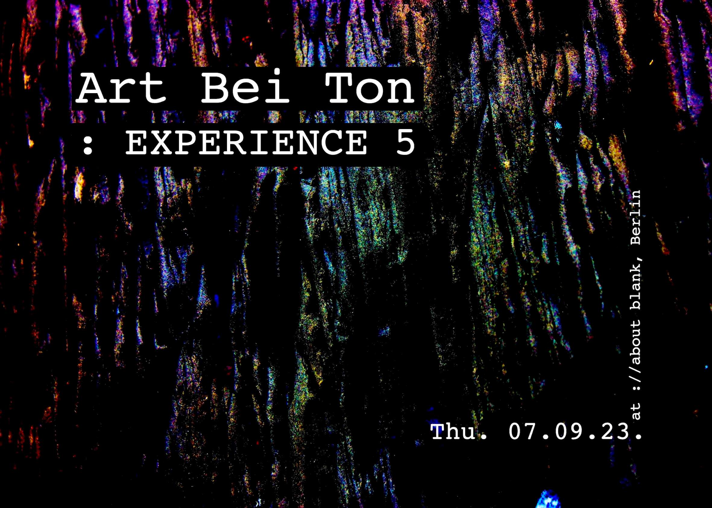 Art Bei Ton: EXPERIENCE 5 - フライヤー裏