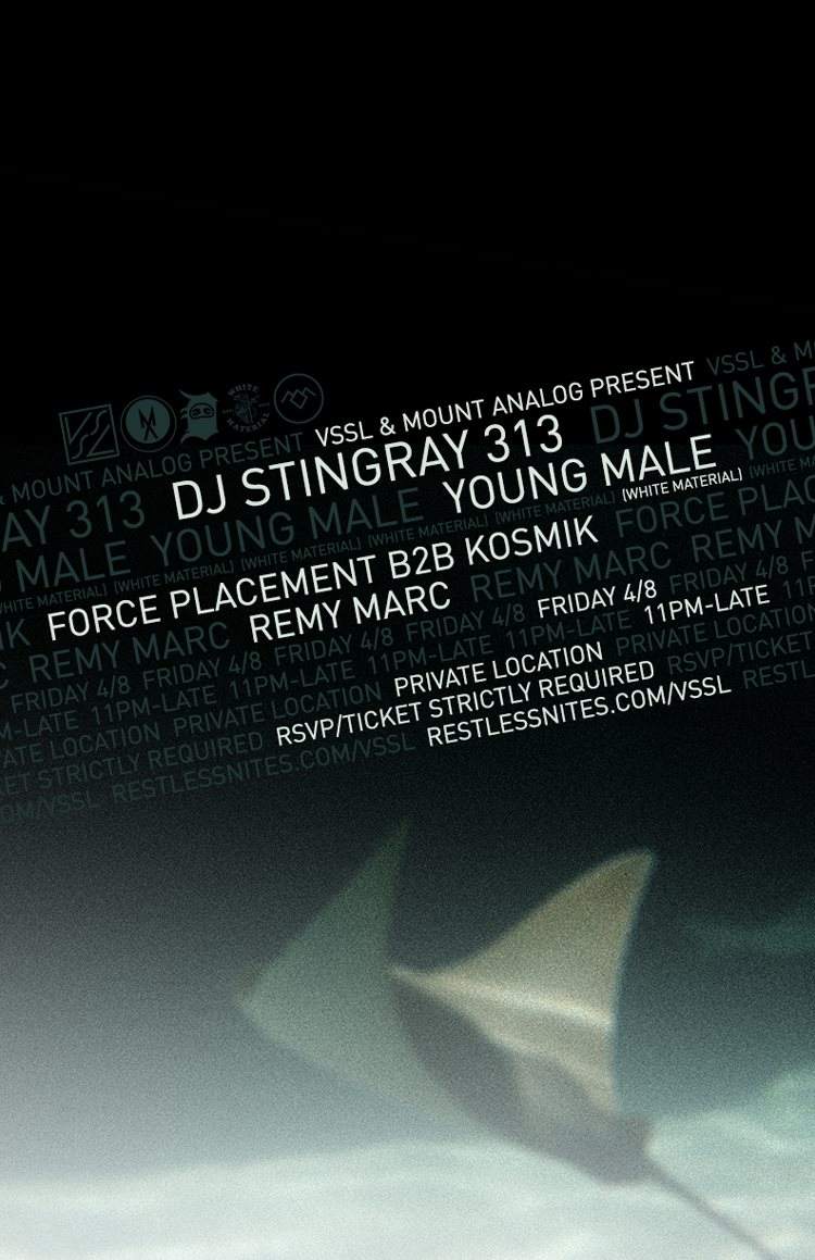 Vssl & Mount Analog present DJ Stingray 313 & Young Male - Página frontal