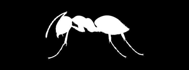ANTS - Página frontal