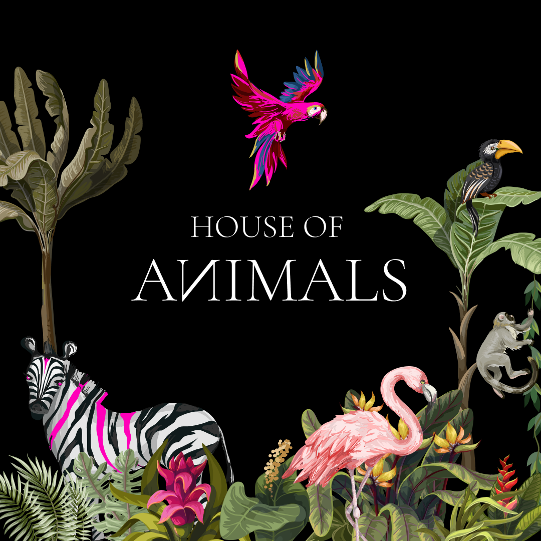 House Of Animals - フライヤー表