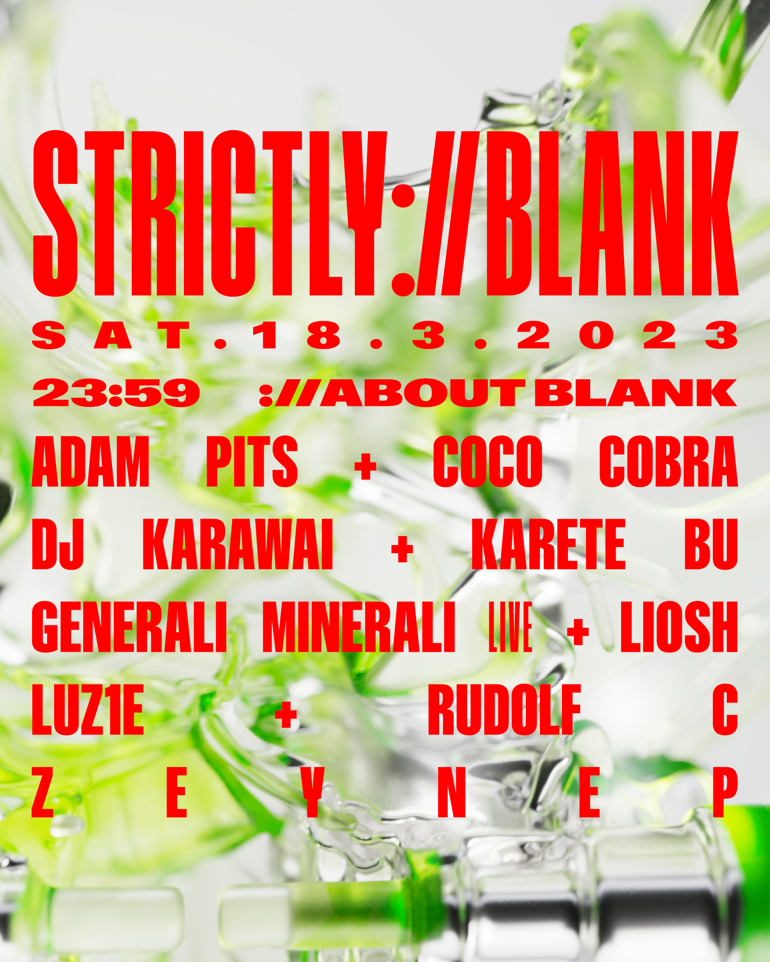 strictly://blank - フライヤー表