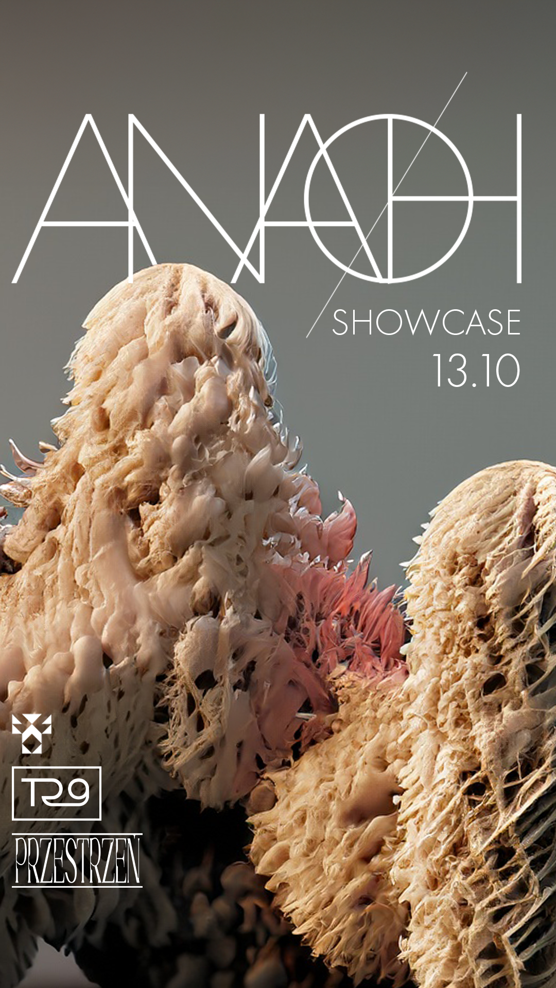 ANAØH Showcase by _VOID x Przestrzeń - フライヤー表