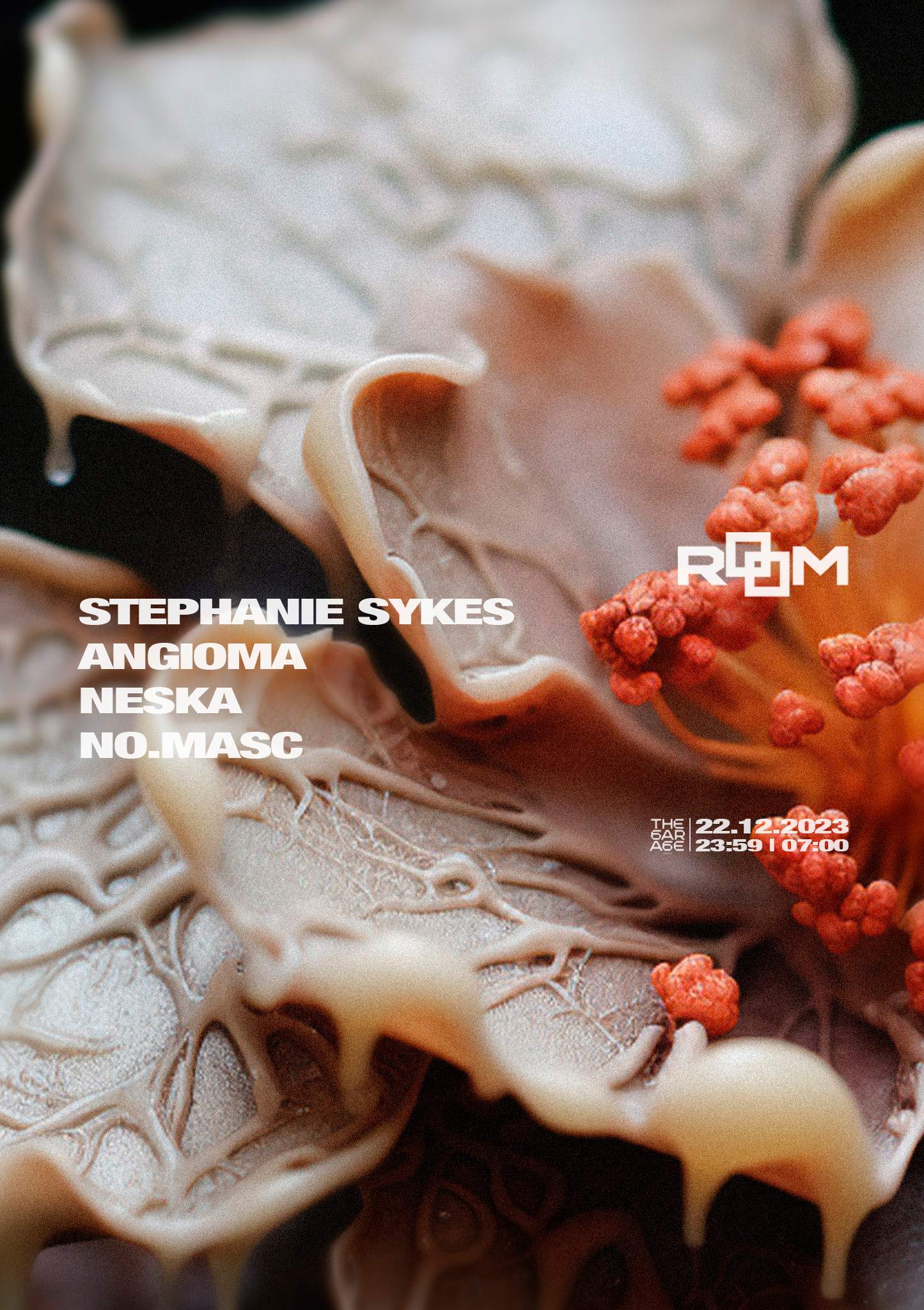 ROOM W/ Stephanie Sykes, Angioma, no.masc & Neska - Página frontal