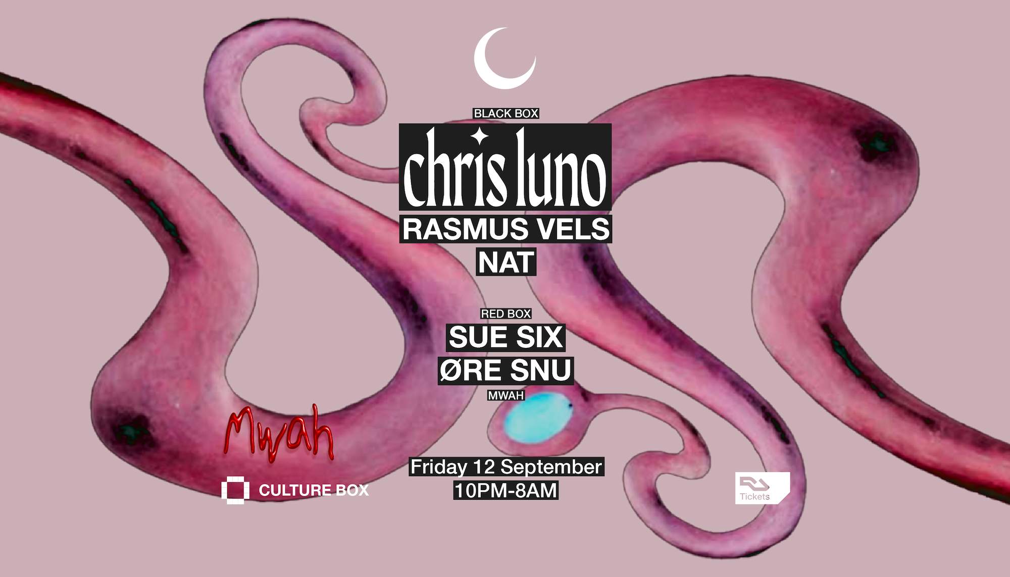 Chris Luno / Rasmus Vels / Nat Mwah: SUE SIX / øre snu at Culture Box,  Copenhagen