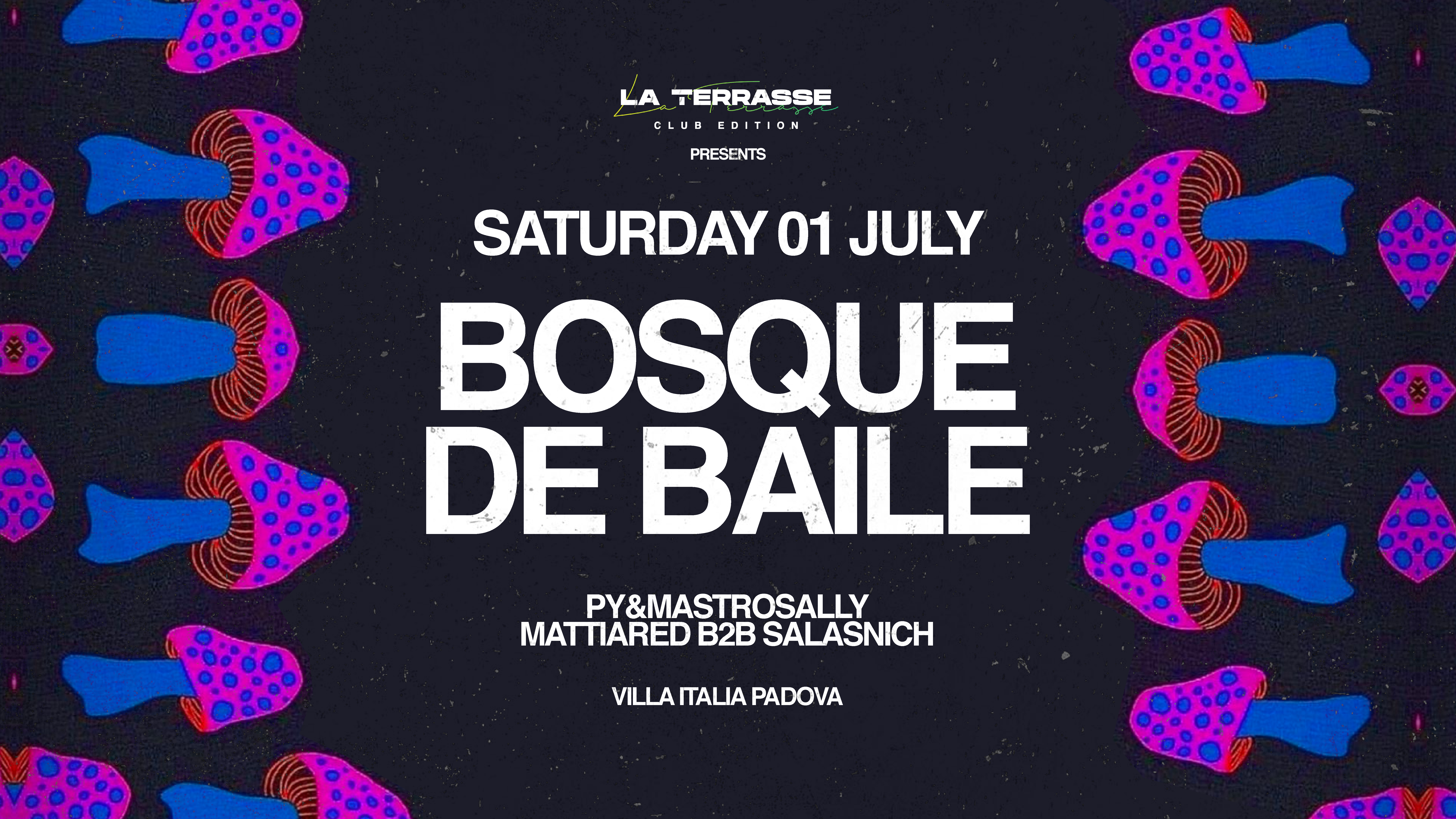 La Terrasse presents: Bosque de Baile - フライヤー表