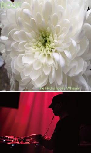 Maurice Fulton - Boof 'The Hydrangeas Whisper' Release Party - Página frontal