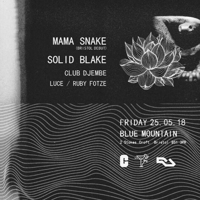 Greenhouse Effect: Mama Snake, Solid Blake, Club Djembe - Página frontal