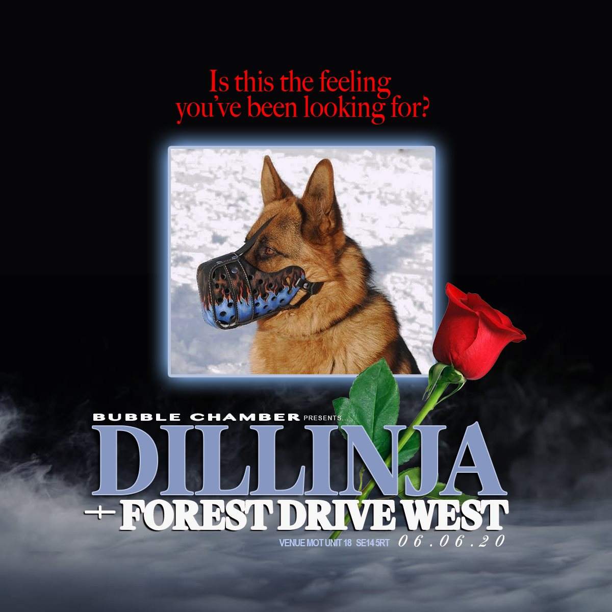 Bubble Chamber: Forest Drive West & Dillinja - Página frontal