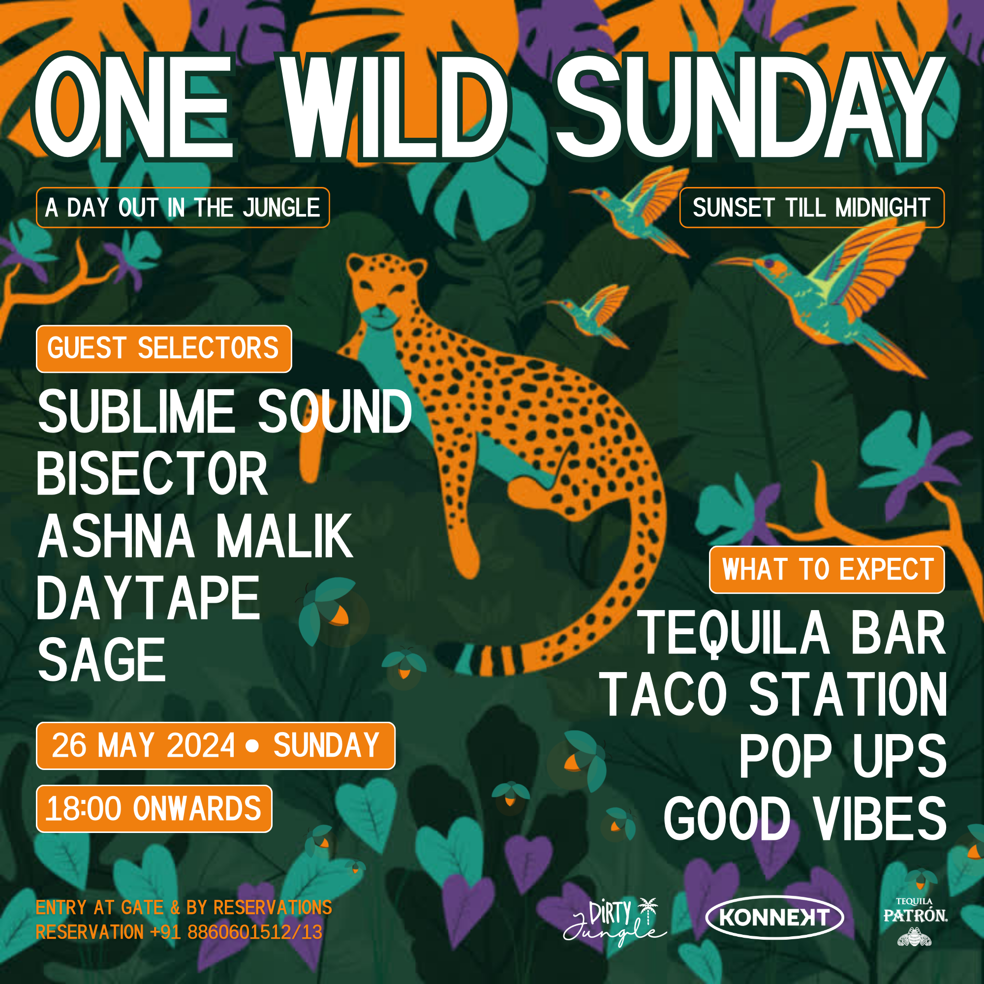 One Wild Sunday at Dirty Jungle - Página frontal