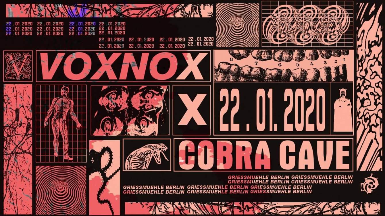Voxnox X Cobra Cave - Página frontal