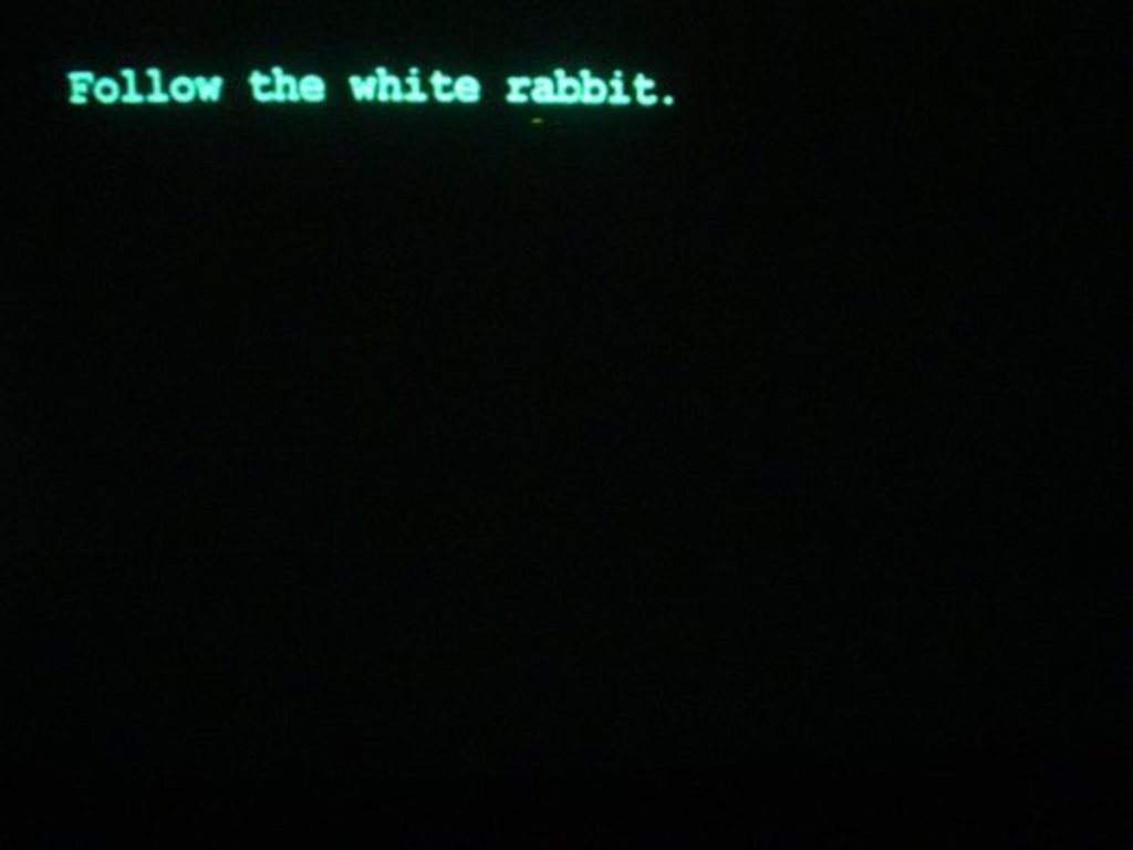 Follow The White Rabbit at An Einem Sonntag Im August, Berlin, image size:1024x768