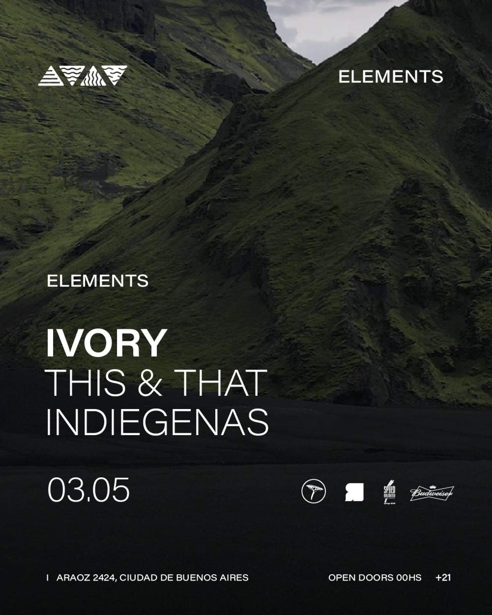Ivory & MORE ARTISTS - by ELEMENTS - フライヤー表