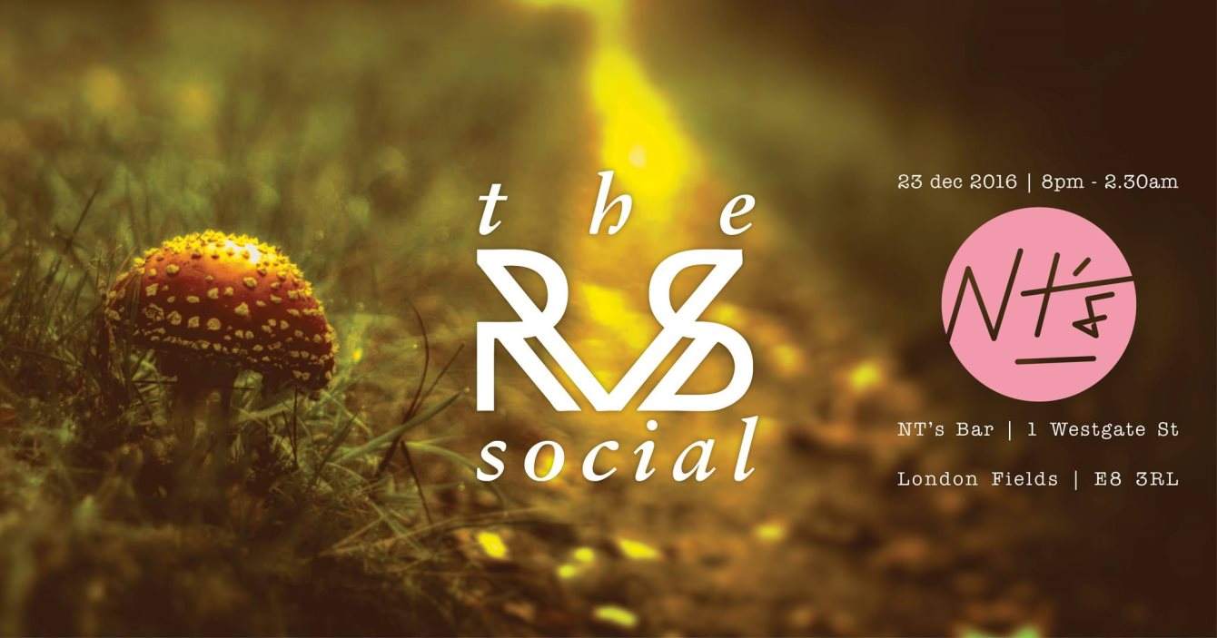 RvS Social - Winter Special - フライヤー表