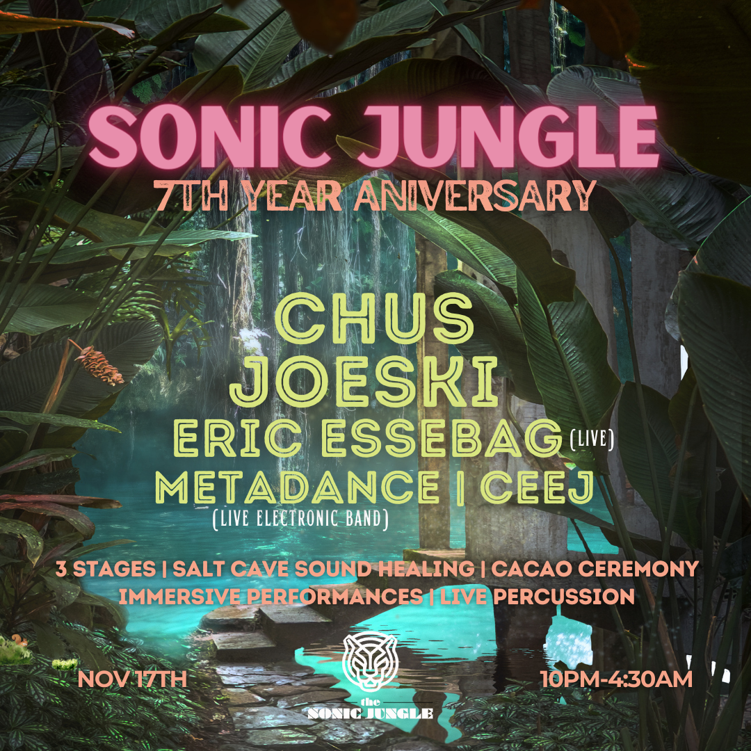 Sonic Jungle 7 year anniversary - Página frontal