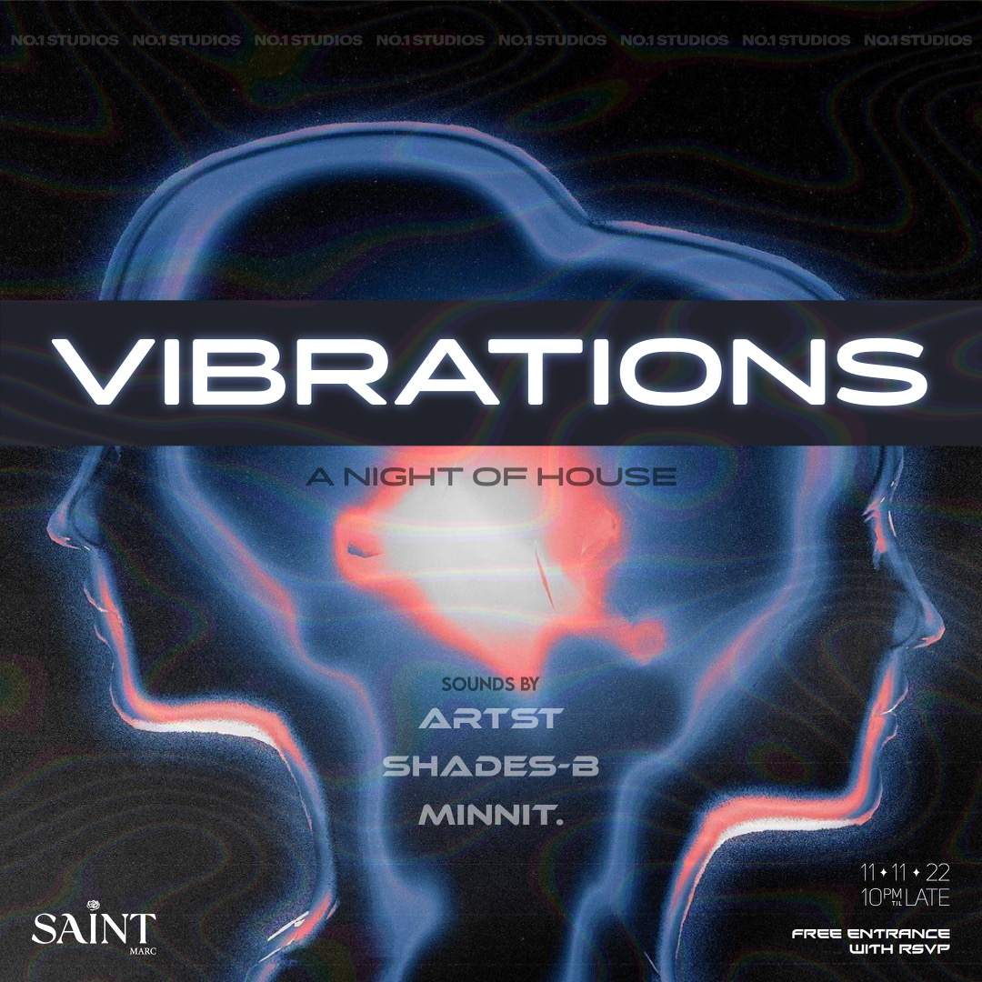 Vibrations A Night of House at Saint, New York City